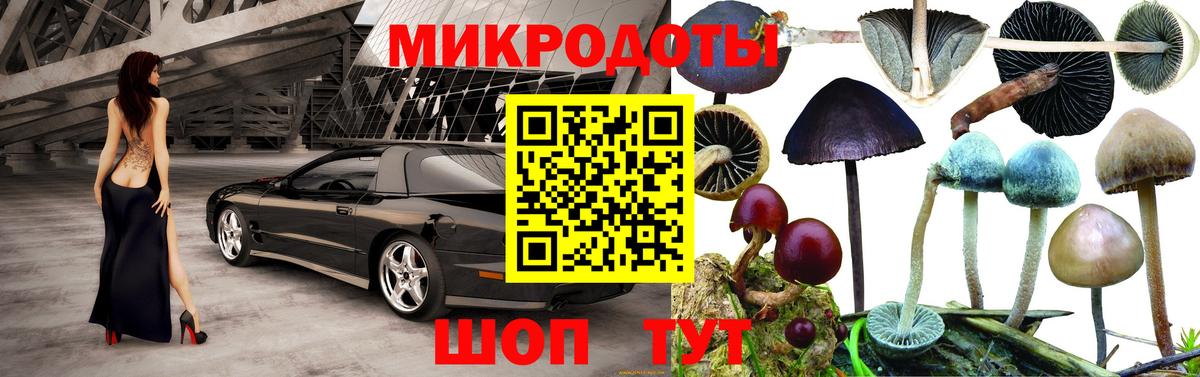 Котовск  Галлюциногенные грибы Cubensis  Вход с VPN 
